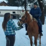 Fred Reitpartner aus Pastetten