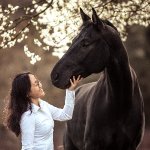 Flocke Reitpartner aus Karlsruhe